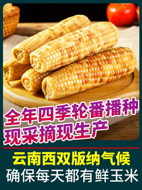 8成交0件深圳市宝安区大双双食品经营部双双食品厂家直发|1年 |主营